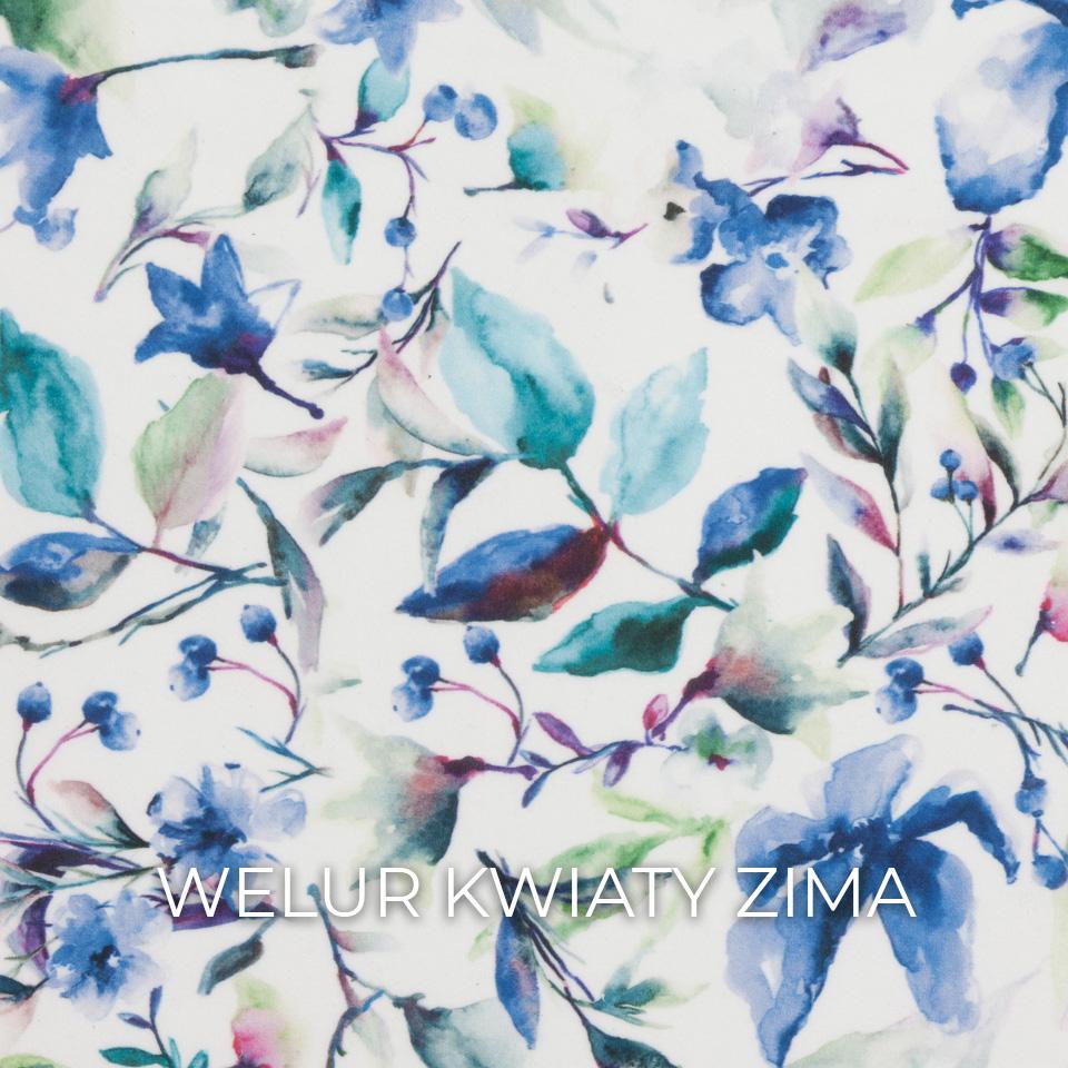 WE KWIATY ZIMA