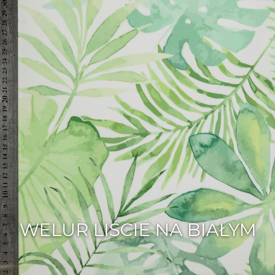 WE LIŚCIE NA BIAŁYM