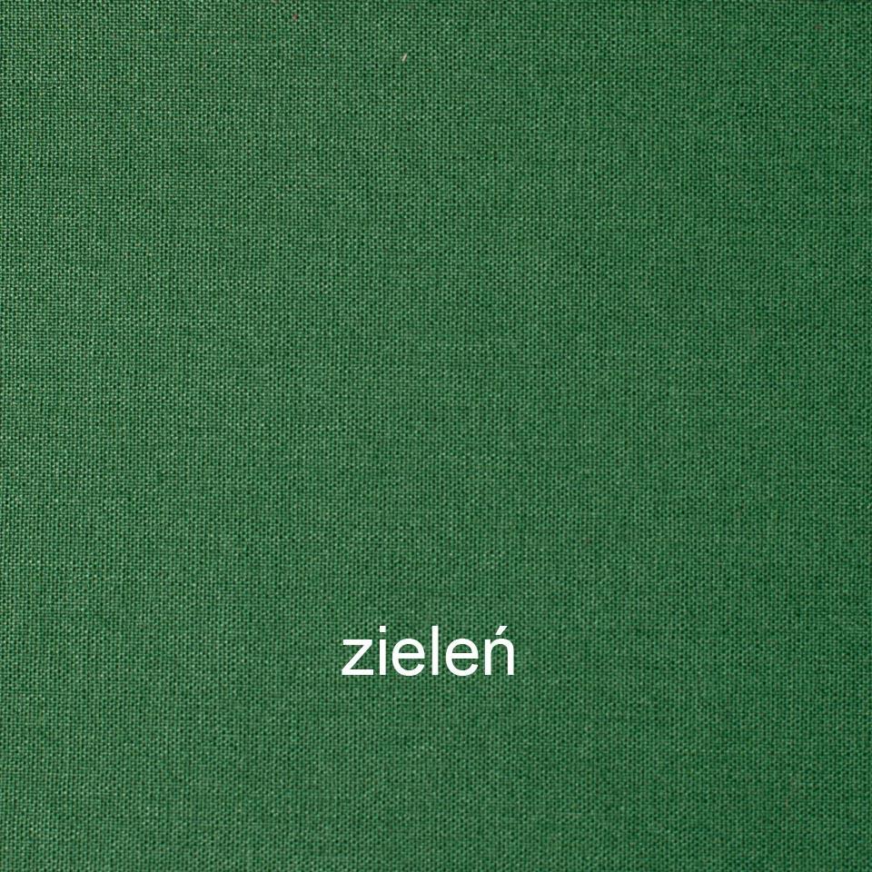 ZIELEŃ